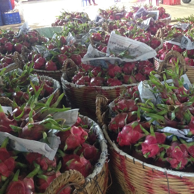 FRESH DRAGON FRUIT GOOD QUALITY