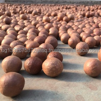 Raw Organic Bulk Nuts Macadamia nuts wholesale & High Quality Grade macadamia nuts