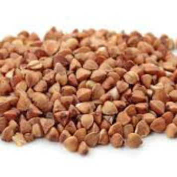 Natural Roasted Buckwheat For Sell