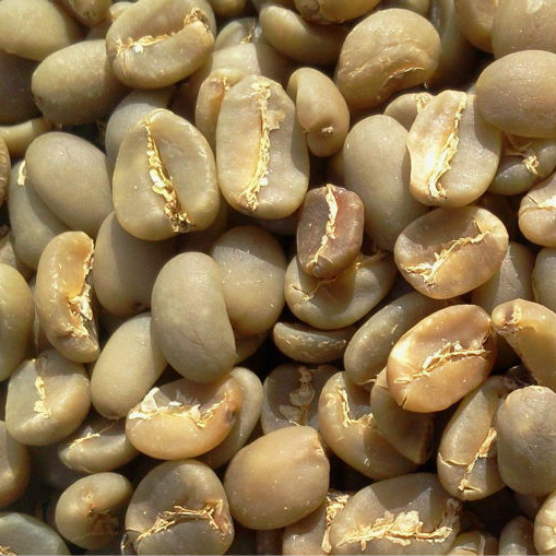 HANFIMEX VIETNAM ROBUSTA COFFEE BEANS S13, S16, S18