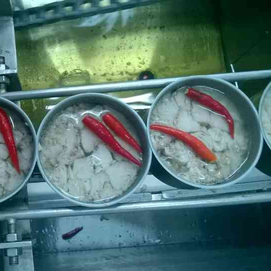 Консервированный тунец Tongol в масле с 2 чиллисом