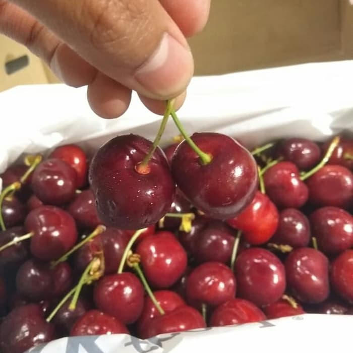 Свежие Вишни для продажи