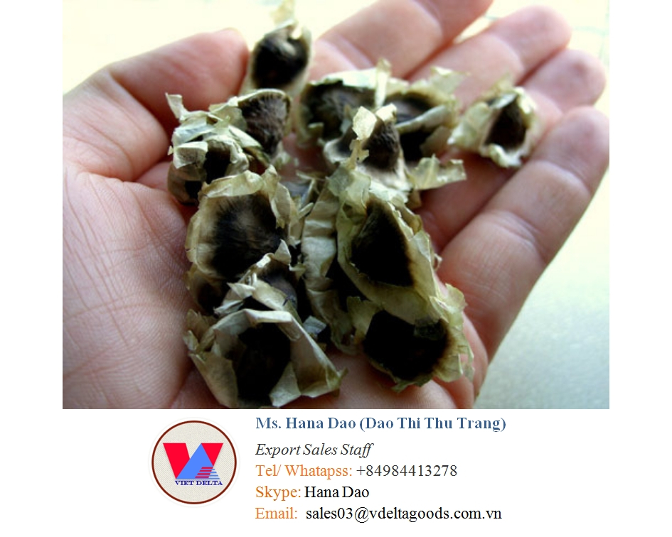 VIETNAM ORGANIC MORINGA SEEDS-ср. Хана: + 84 984 413 278