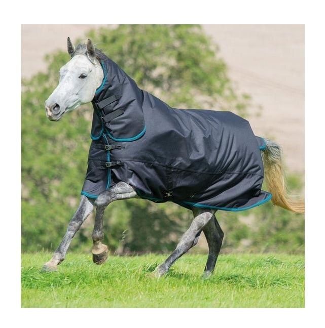 Wholesale Cotton Horse Rugs Bulk order Horse Rugs