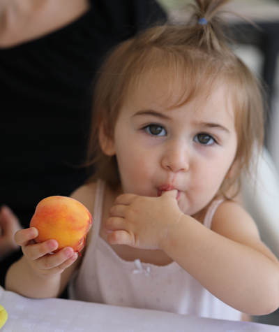 BABY FOOD FRUIT / VEGETABLE GROUP