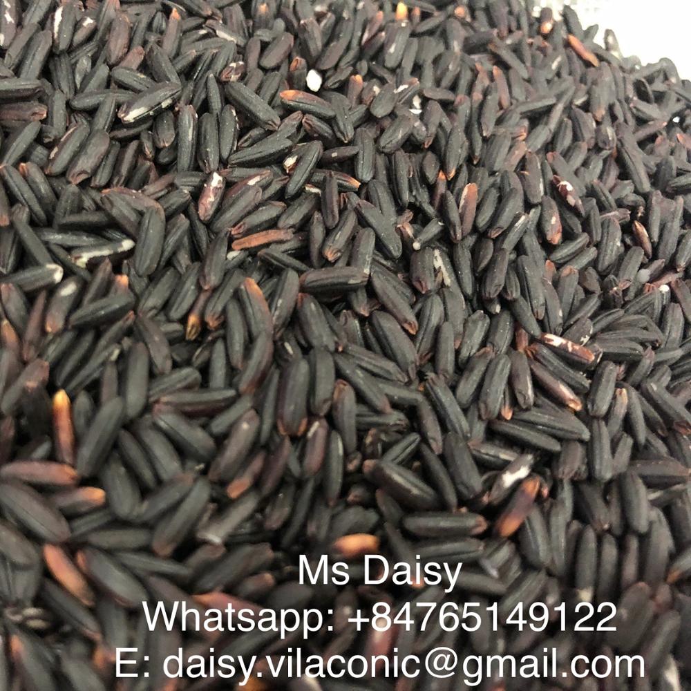 BLACK RICE FROM FACTORY GOOD PRICE +84765149122