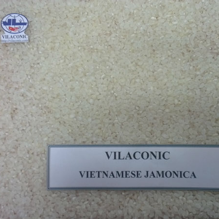 (VilaconicexportATgmailDOTcom) вьетнамский белый рис