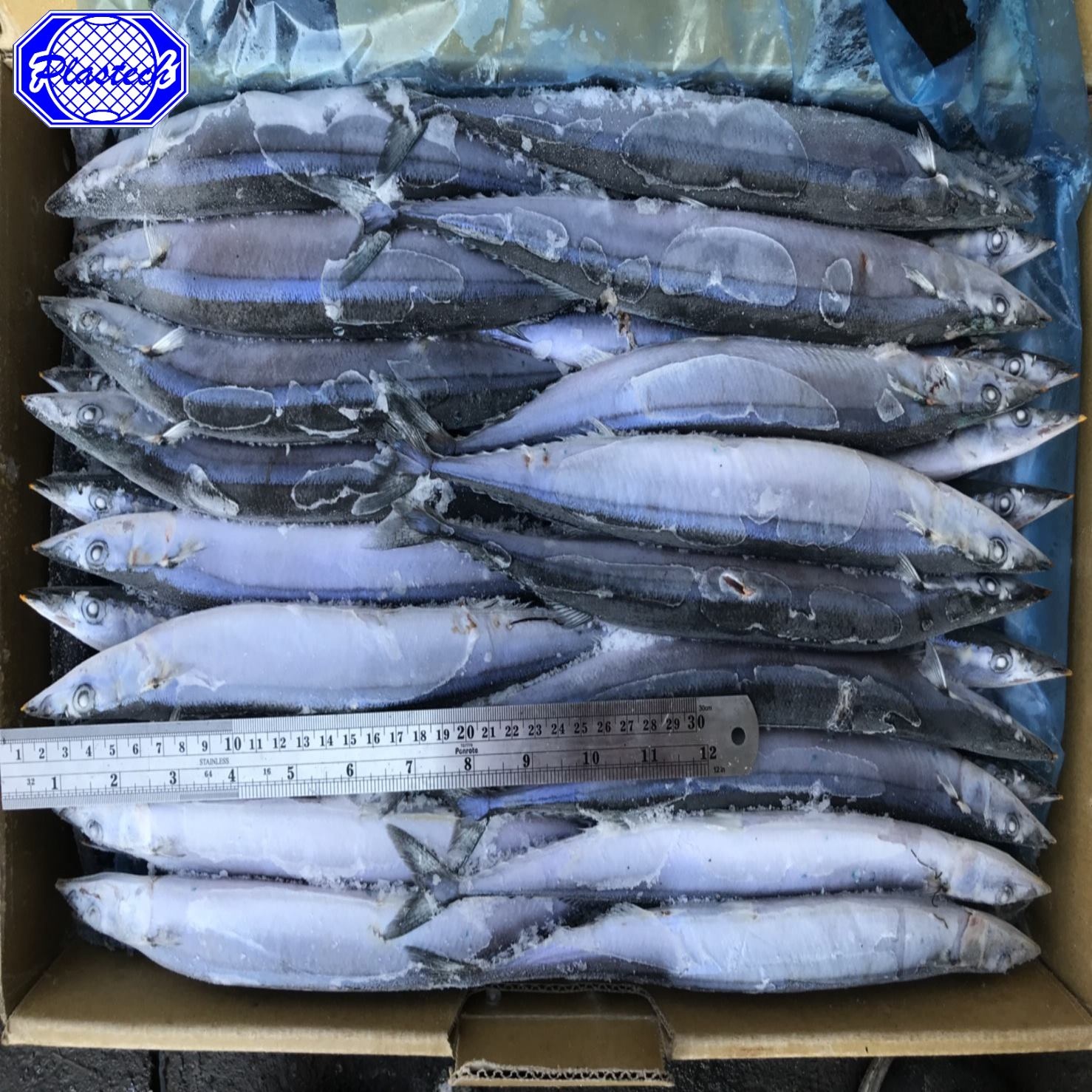Свежая быстрая заморозка замороженный Тихоокеанский Saury для рынка для сушки всех размеров
