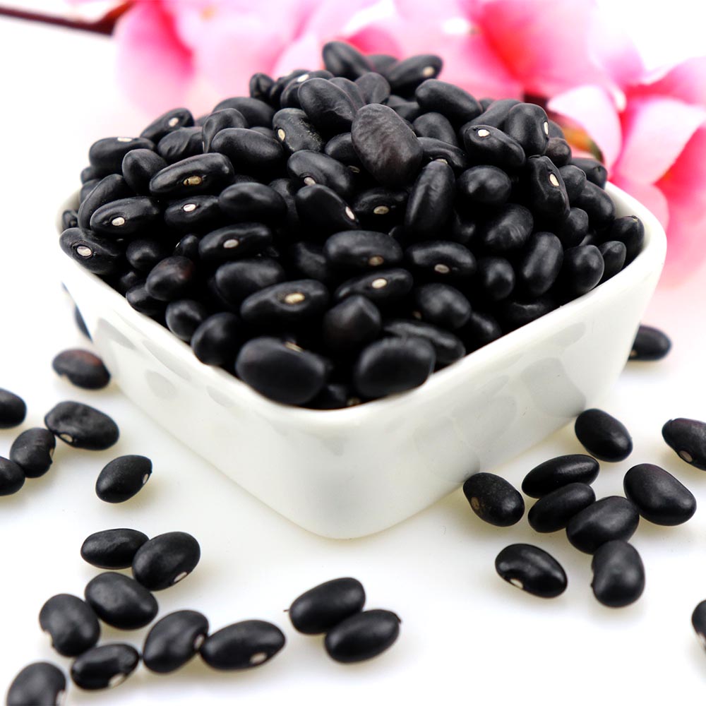 Black Kidney Bean new crop