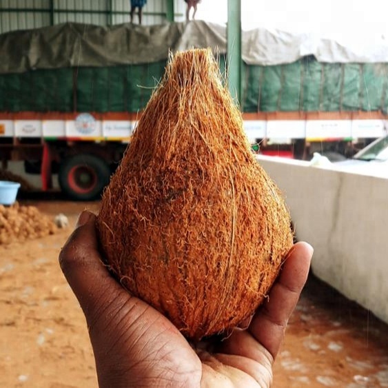 COCONUT