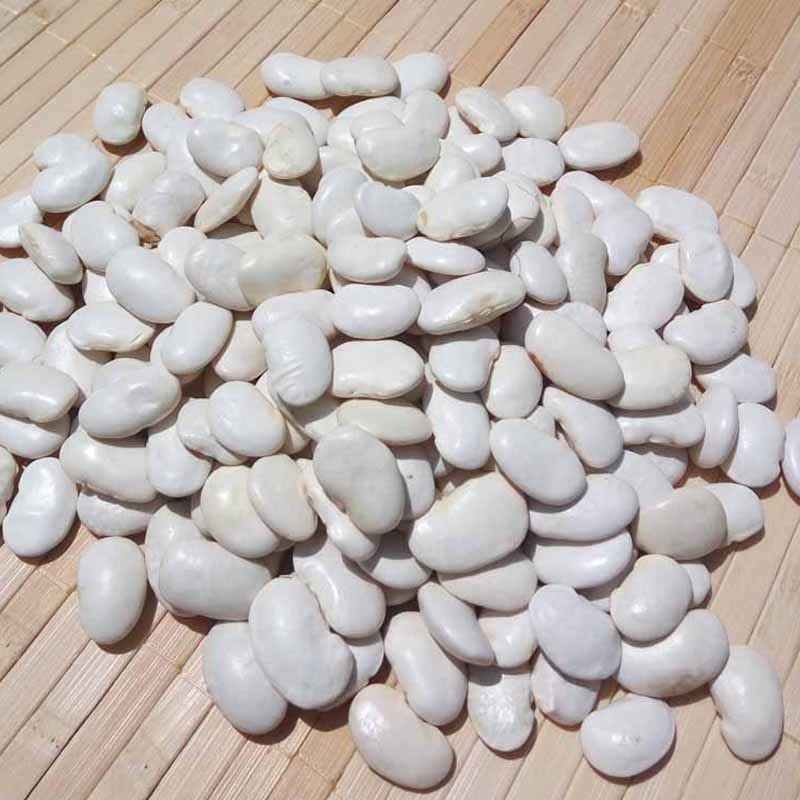 Хорошая цена Лима бобы для продажи