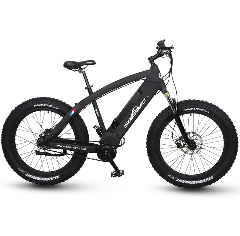 OEM широкая шина 48 в 1000 Вт Bafang средние приводные ворота ремень для охоты Электрический велосипед
