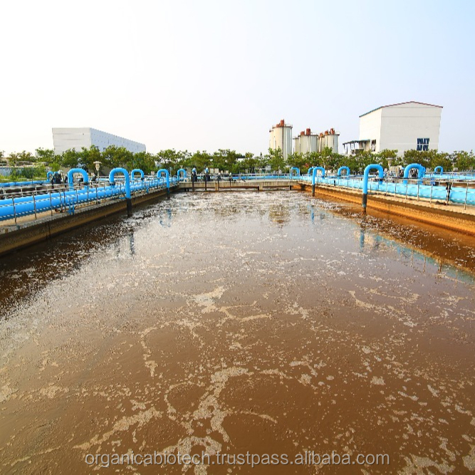 High quality Microbial sewage treatment for reduction of municipal waste tank