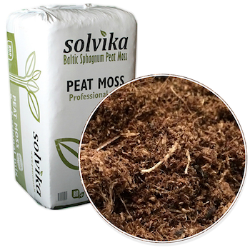 Горшок и посадка почвы SOLVIKA