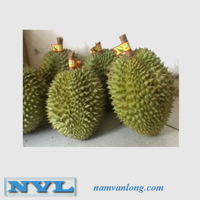 Высокое качество MONTHONG DURIAN фрукты с Лучшая цена и высокое качество