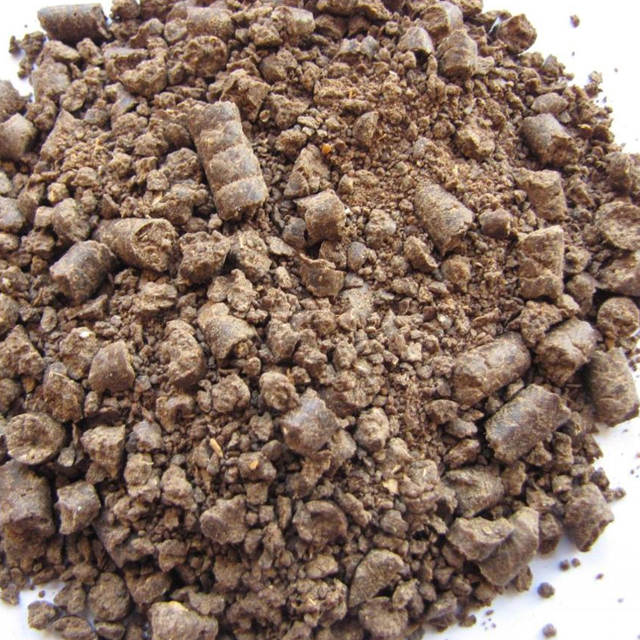 cotton seed meal for hot sale low price