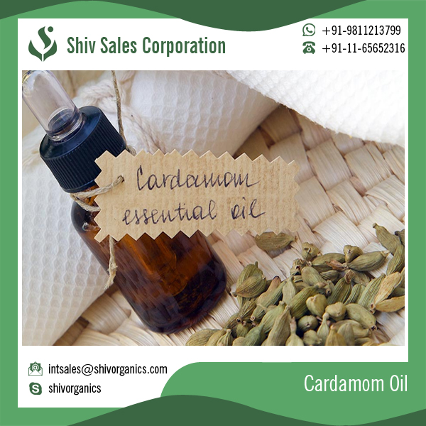 100% Natural Aromatic Essential Oil Cardamom Oil Best Price Wholesale