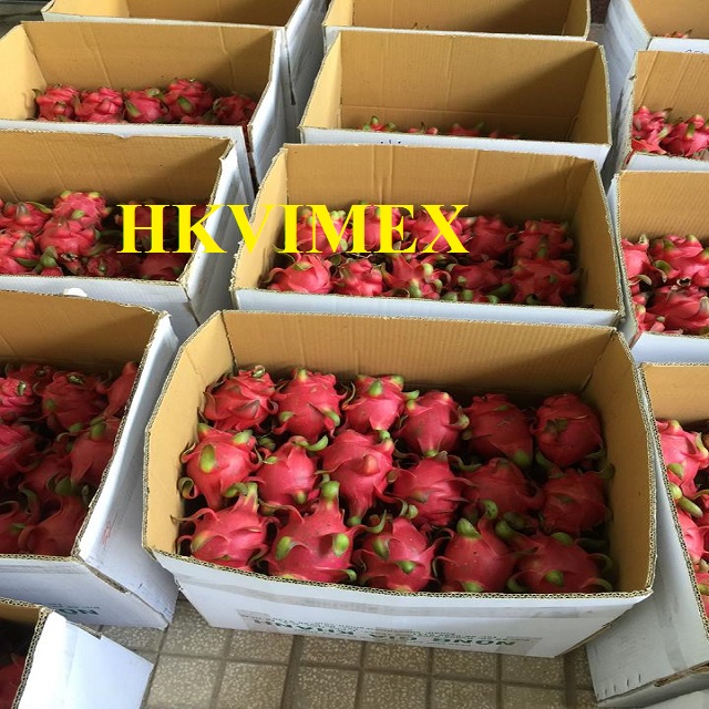 Свежие фрукты дракона Лучшая цена