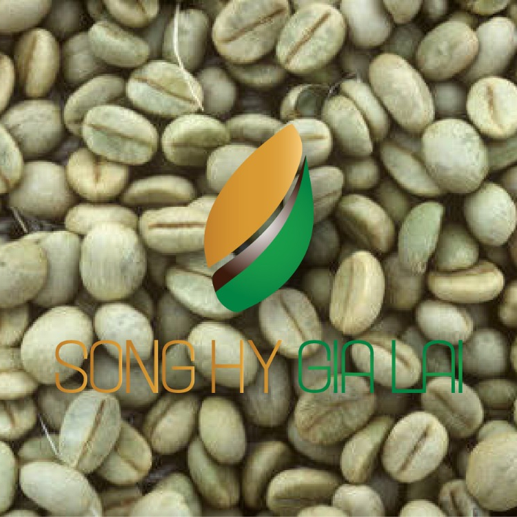 Все кофейные зерна ROBUSTA из Вьетнама