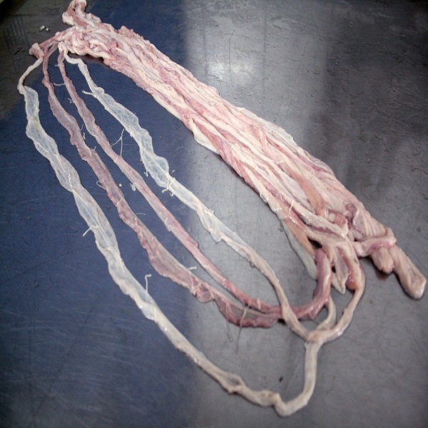 Green runner / Pork small casing / Pig casing
