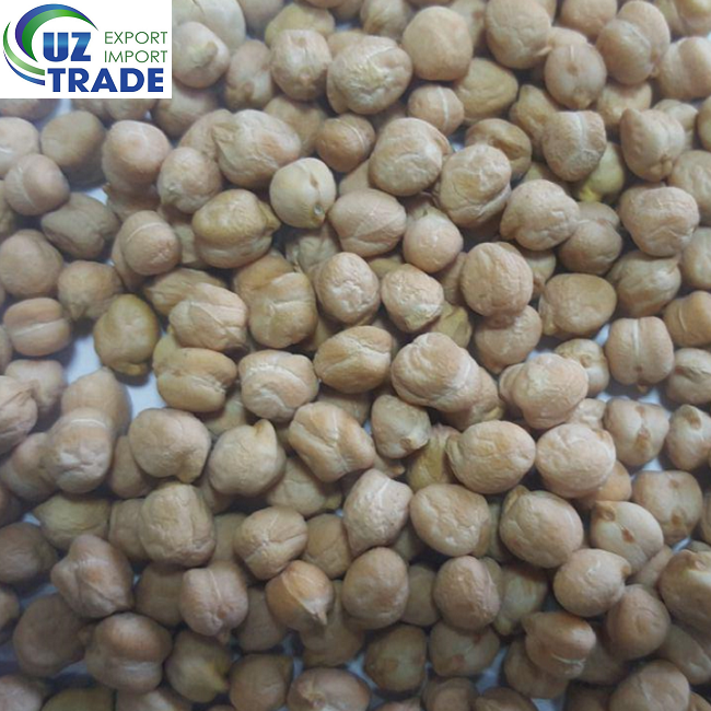 Chickpeas organic with different sizes (+8mm) of fresh crop