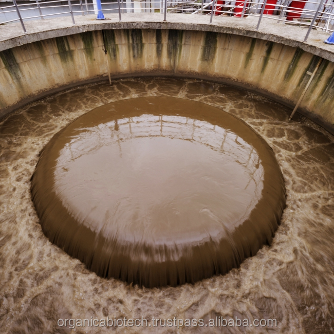 Secondary Biological phase waste water treatment coagulant price