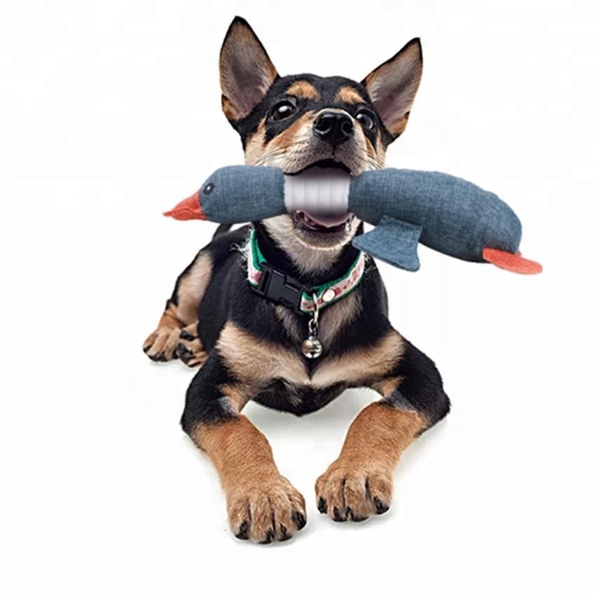 Goose Chew Sound Dog Toy