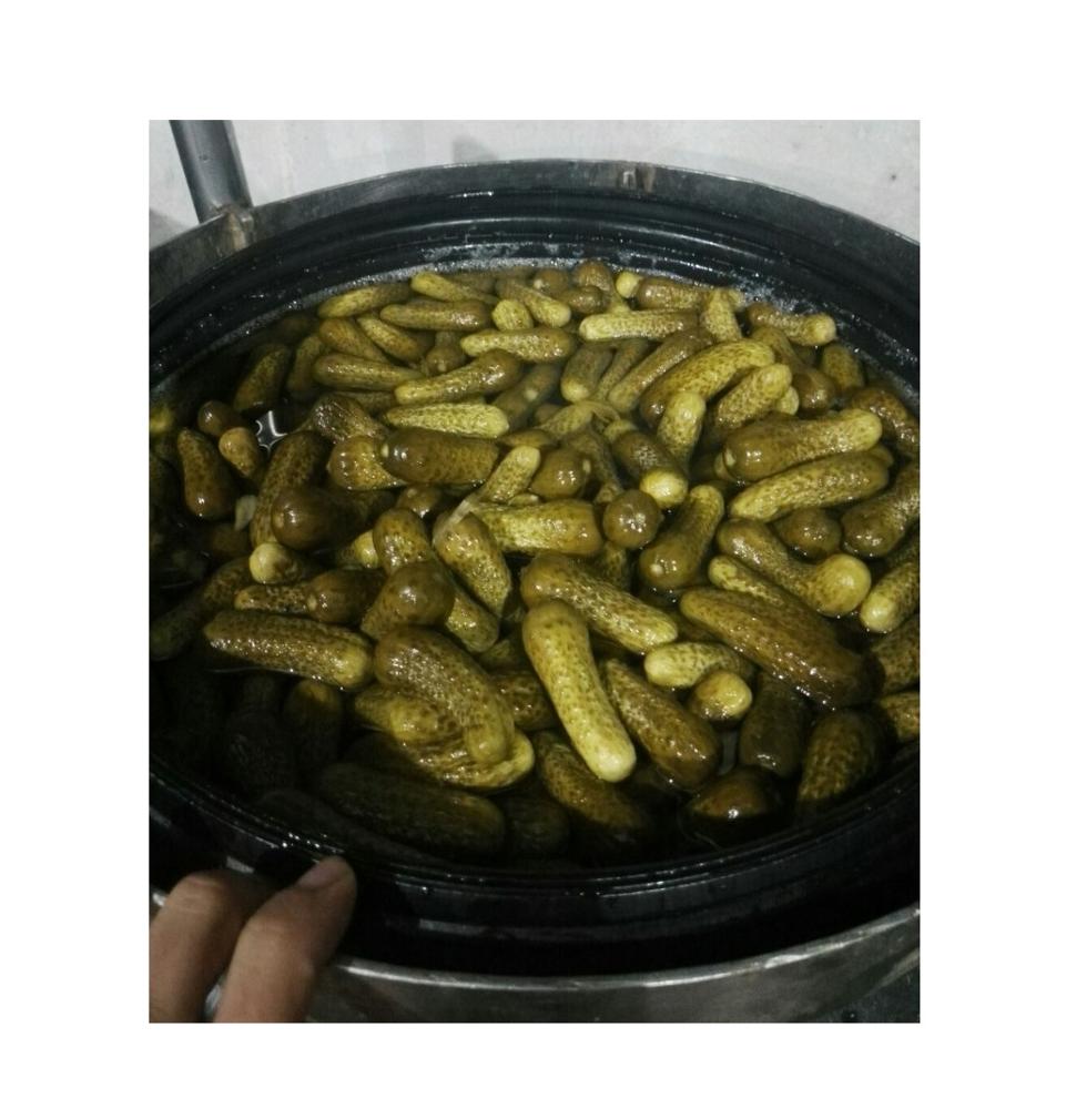 Консервированный огурец/консервированный маринованный огурец/( 00841203970669 WS Jenny)
