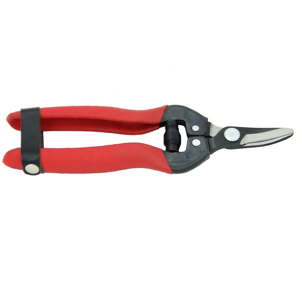 (GD-11156) 6,5 дюймовые изогнутые ножницы для винограда