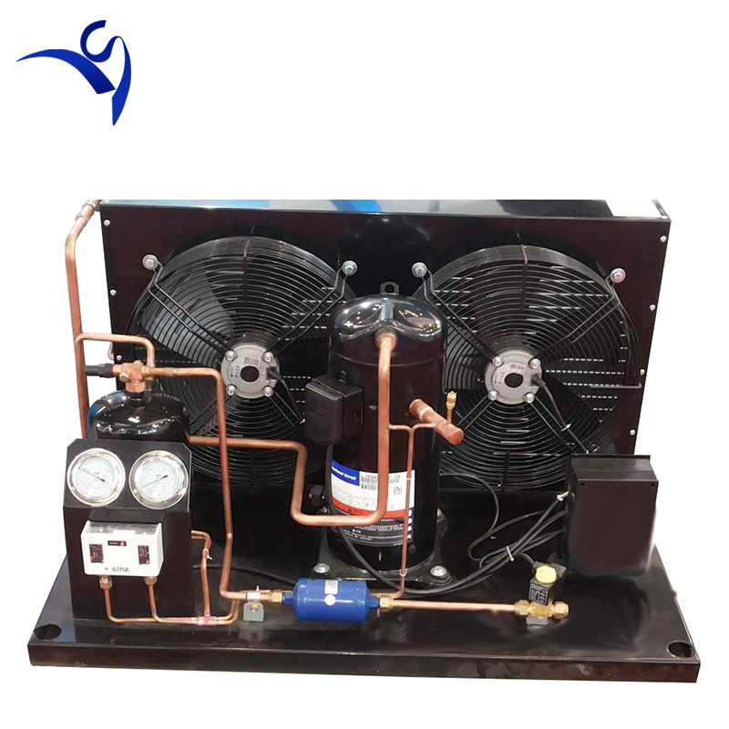 Конденсаторный агрегат открытого типа 3HP