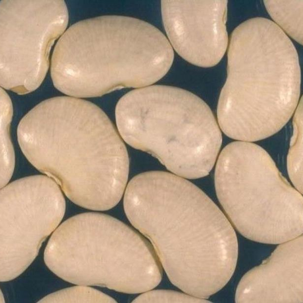 Масло Bean