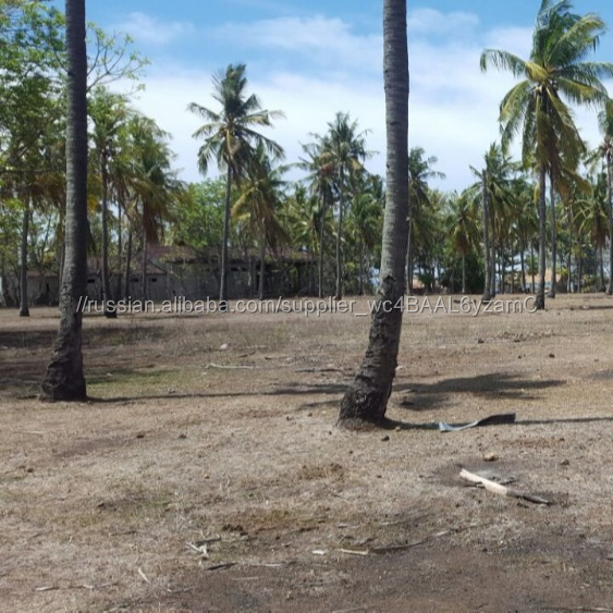 Земли для продажи в gili Air