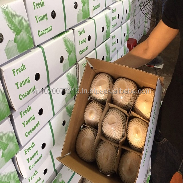 Fresh young coconut from Hoang Kim Company