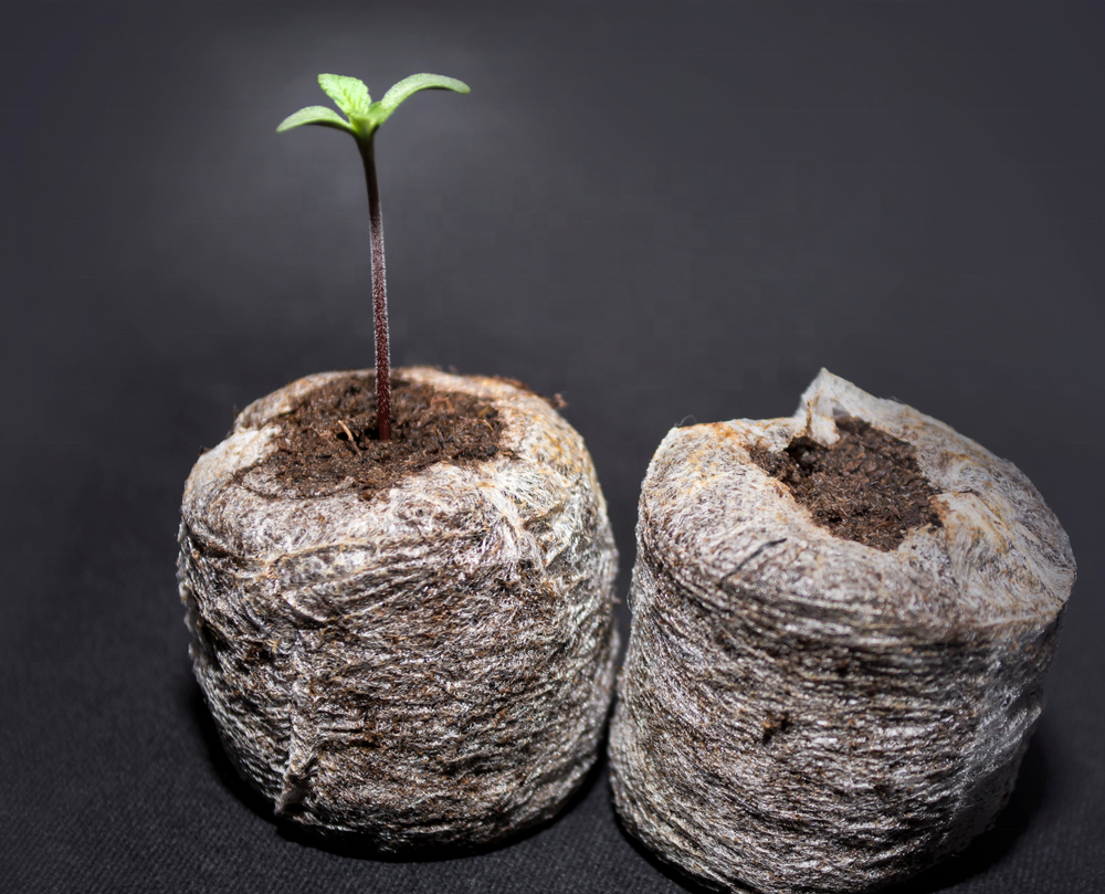 Cocopeat дисковые тормоза