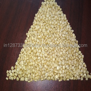 Indian White Maize
