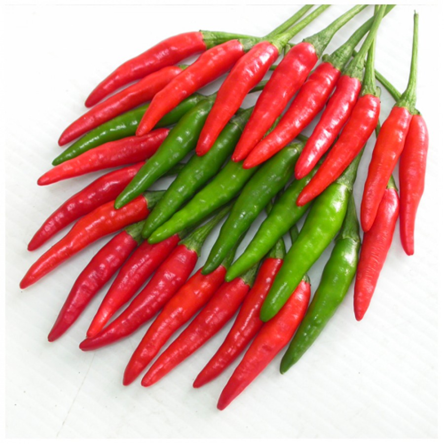HOT CHILI WITH SPICY