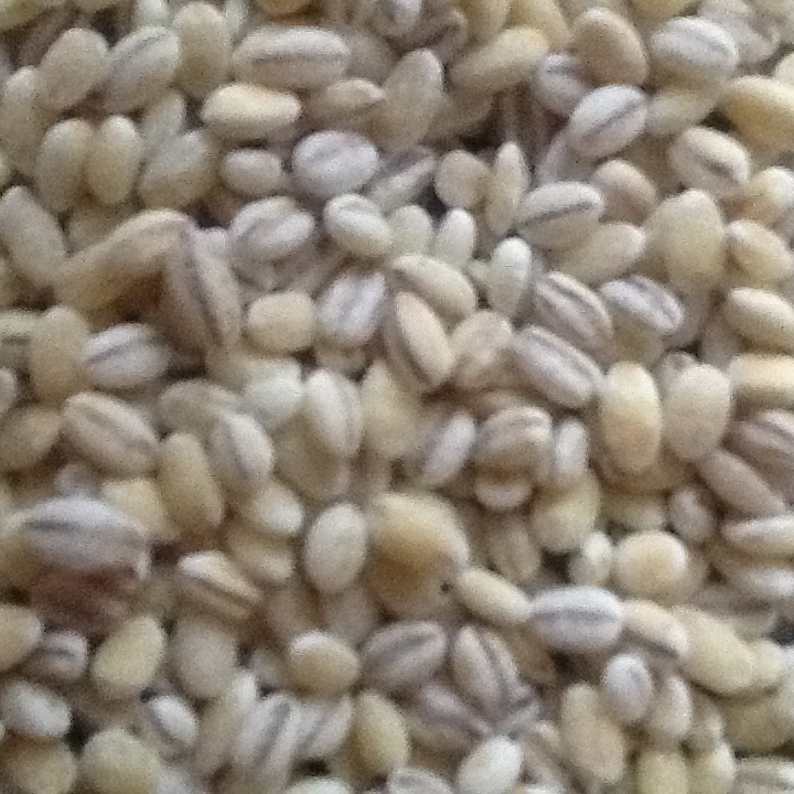 WHEAT