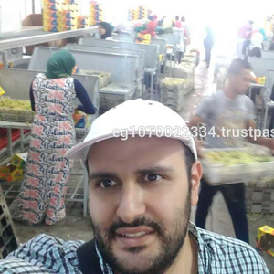 EGYPTIAN FRESH GRAPES , CRIMSON GRAPES