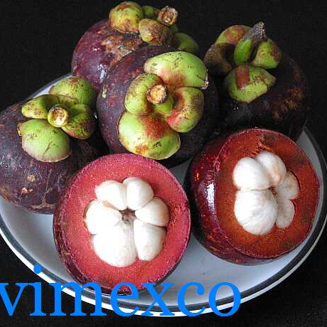 2019 Fresh Mangosteen