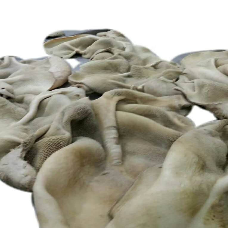 Beef Meat tripe Supplier from Pakistan High Quality Fully Boiled Beef Tripe