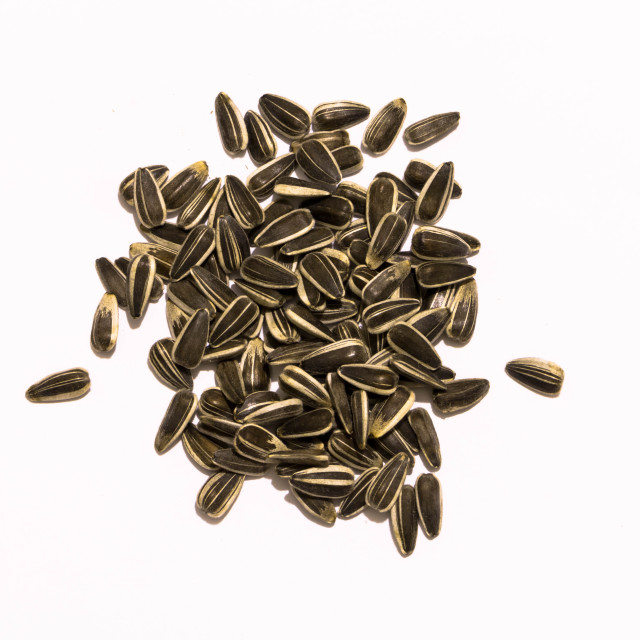 Sunflower Kernel