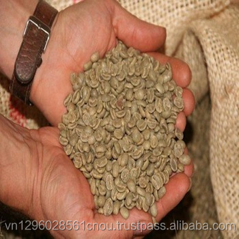 Качественные немытые кофейные зерна ROBUSTA из Вьетнама SCR 18-мисс Трейси