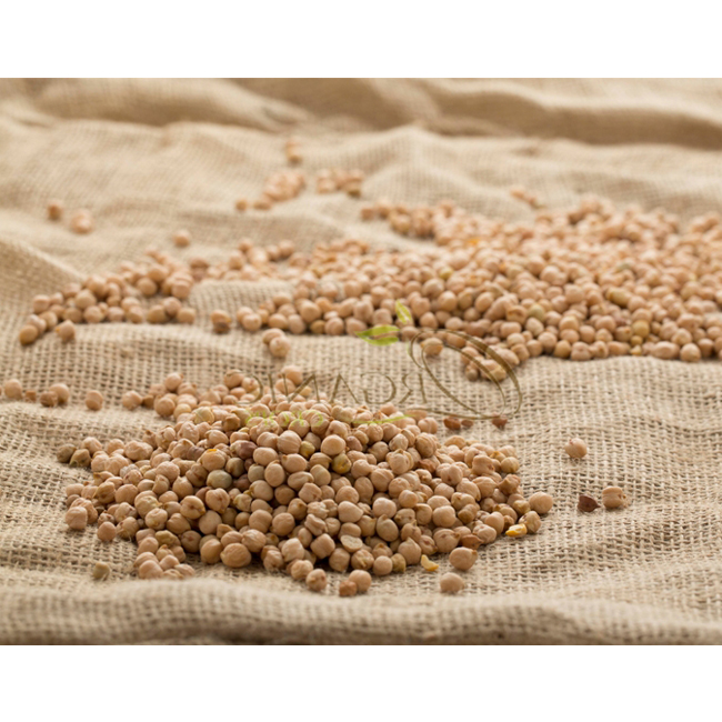 Standard Quality Desi Chickpeas at Bulk Price
