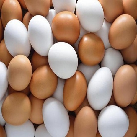 Свежие куриные яйца для продажи