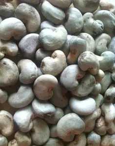 Raw Cashew Nut - RCN - Benin Origin Raw Cashew Kernels 2023 Season. Export quality wholesale raw cashew nuts..
