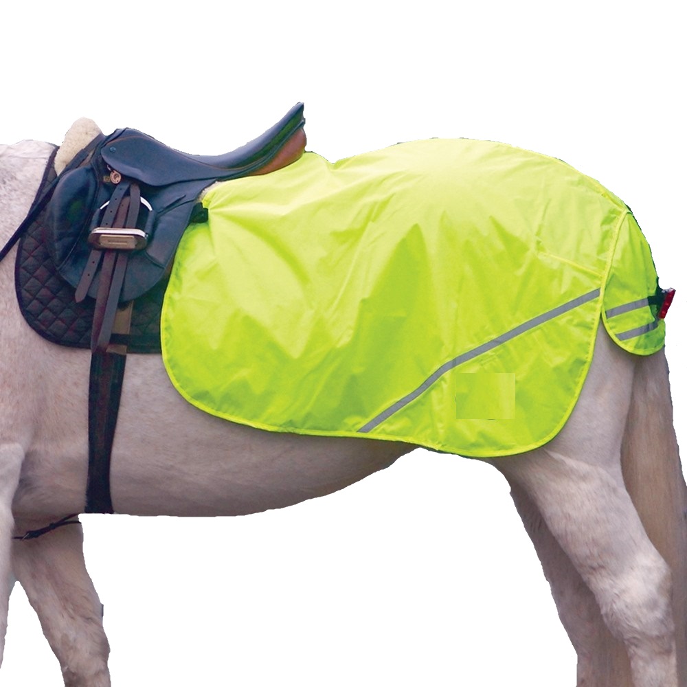 Horse Rug Sheet India Sales