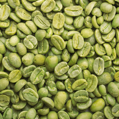 Кофе-зерна ROBUSTA, класс 1, экран 18, очищенный