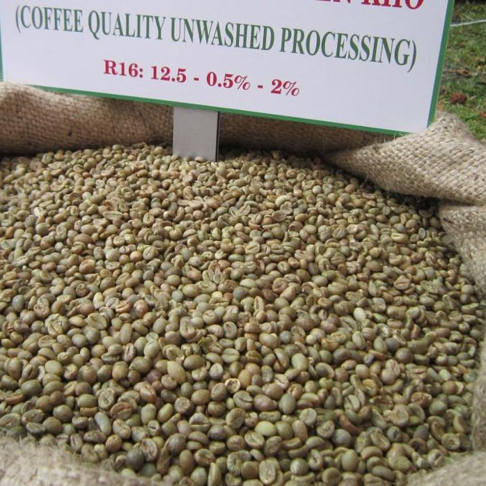 Vietnam Robusta coffee beans best manufacture Whatsapp 0084971054925