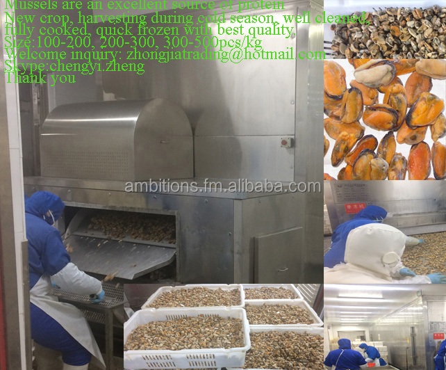 FROZEN MUSSEL MEAT
