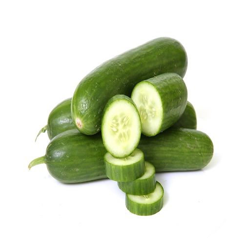 Quality Fresh Cucumber available for Exportation